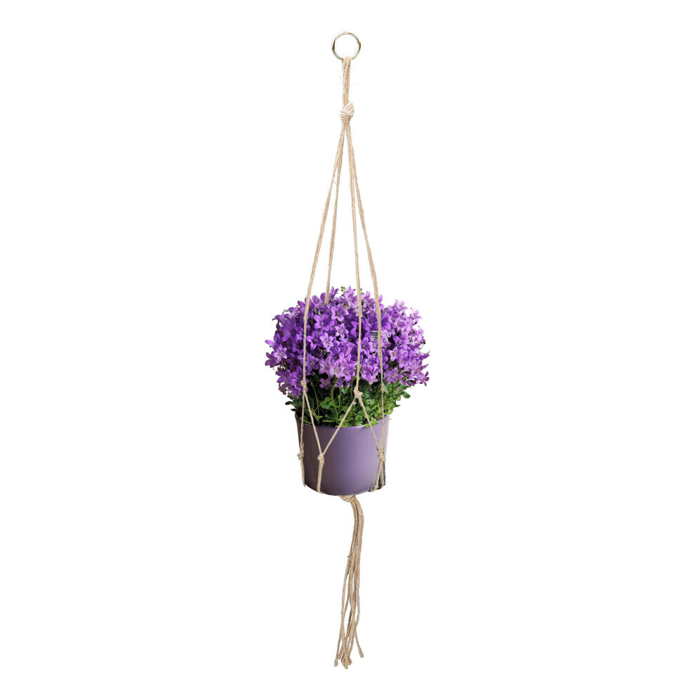 Cintre en corde de chanvre durable pour pots de 15 à 25 cm