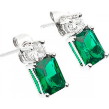 Chiara Ferragni J19AWJ12 Ladies Earrings