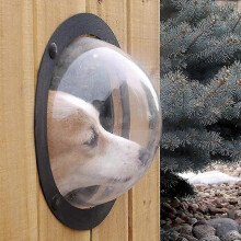 Fence Window, Durable Acrylic Dome Pet Dog Fence Peek Window for Cats Dogs31.5 * 31.5 * 12.5cm
