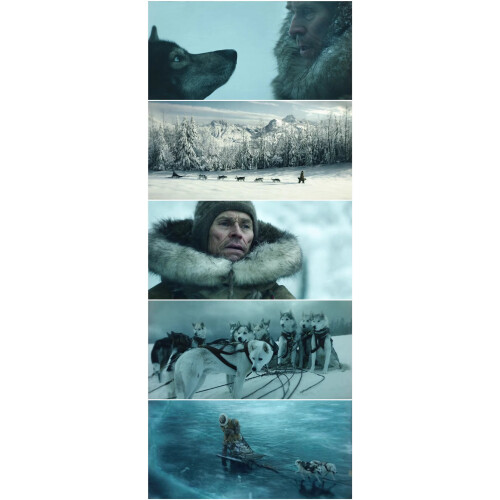 Togo (2019) Blu-ray 1080P BD – Spannendes Familienabenteuer in brillanter Bildqualität 2