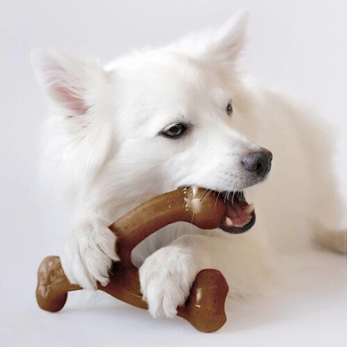 Durable Wishbone Dog Chew Toy for Aggressive Chewers, Real Bacon, Medium 1