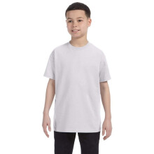 Tricko Hanes Youth Tagless  Ash (99/1)  L