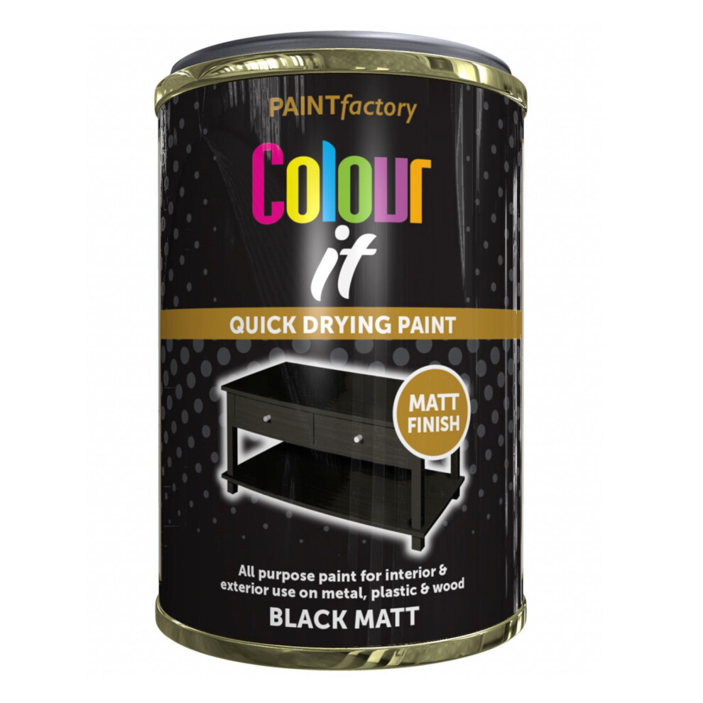 Paint Factory Rapide Matt Tin Paint For Interior Exterior Quick Dry 300Ml Black