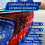 Flash Flash Car Shampoo Foam Wash Quick Safe & Effective on All Paintwork 2x500ml 3