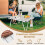 Casart Outdoor Folding Camping Table Picnic Table w/ Storage Bag-Silver 6