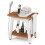 Casart Shower Bench Seat HIPS Shower Stool w/ Handle & Shower Head-Brown 1