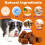 Oimmal Dog Hip and Joint Supplement, 60 Duck Flavour Chews, Joint Mobility and Strength Support Treats for Dogs 5