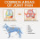 Oimmal Dog Hip and Joint Supplement, 60 Duck Flavour Chews, Joint Mobility and Strength Support Treats for Dogs 7
