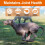 Oimmal Dog Hip and Joint Supplement, 60 Duck Flavour Chews, Joint Mobility and Strength Support Treats for Dogs 3