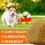 Oimmal Dog Hip and Joint Supplement, 60 Duck Flavour Chews, Joint Mobility and Strength Support Treats for Dogs 4