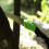 Tinor folding garden saw 4
