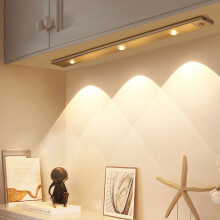 Rechargable LED Motion Sensor Light