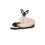 Royal Canin Royal Canin Siamese 38 - Crocchette - 2 kg 3