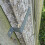 Selections Fence Panel Security Bracket Set (20 Pack) Galvanized Steel Post Clips 3