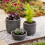 Strata Small Grey Round Planter Amalfi Stone Effect Decorative Pot 35cmx34cm 5
