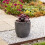 Strata Small Grey Round Planter Amalfi Stone Effect Decorative Pot 35cmx34cm 3
