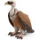 Schleich wilde gier 1