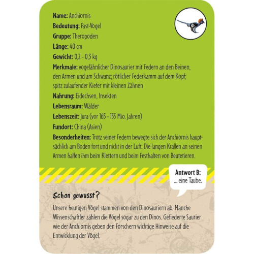 50 dinosaurussen: herken en verbaas! 2