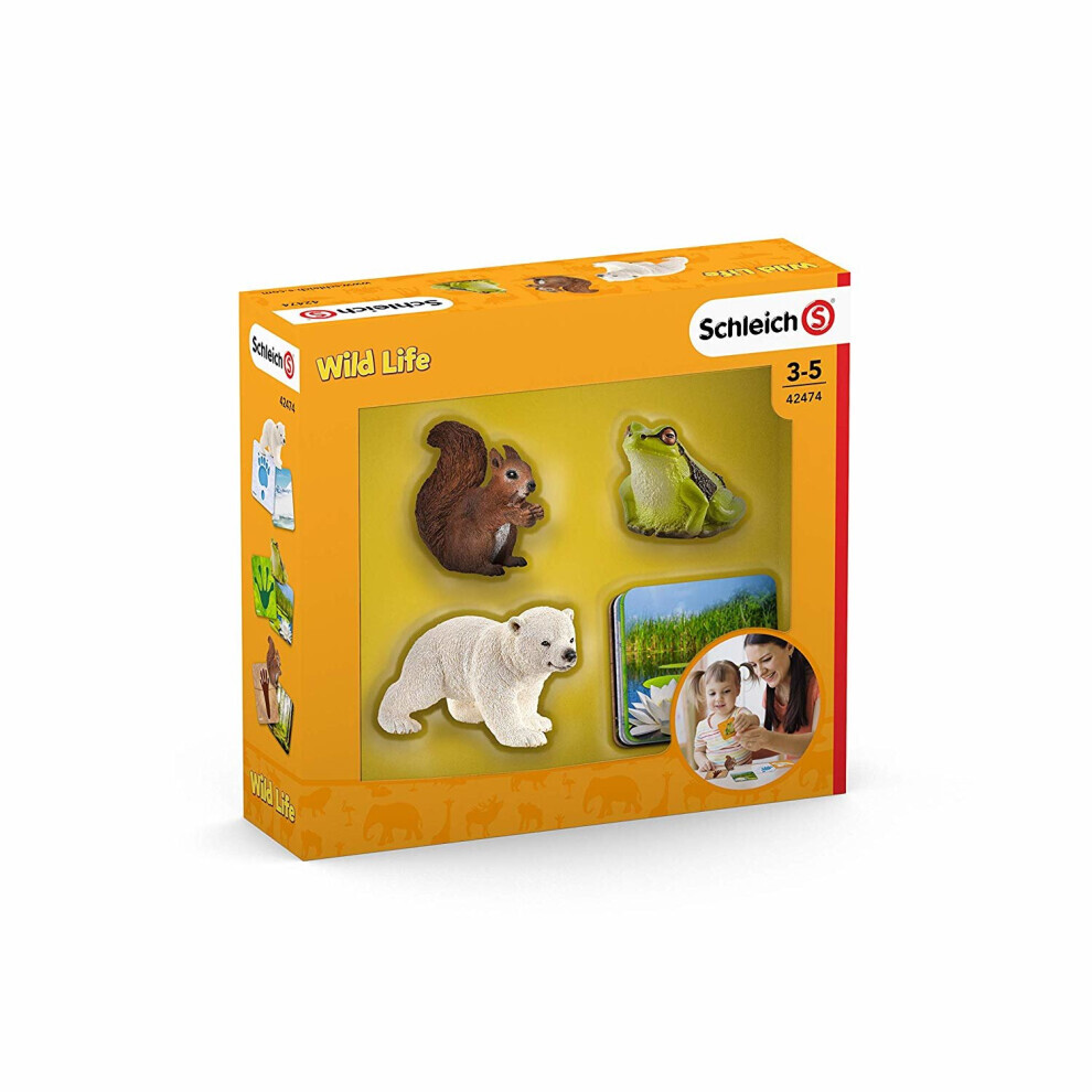 Schleich 42474 Educational Playset Wild Life Flashcards