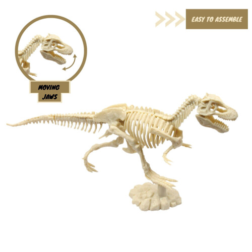 Kit d'excavation de fossiles de dinosaures T-Rex 2 en 1, ensemble de pâte à modeler, jouet on