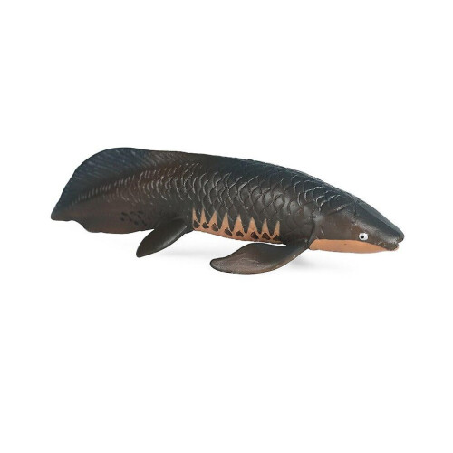 Poisson PVC Miranda