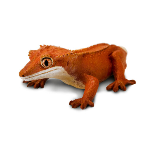 Safari Ltd. Crested Gecko - Realistinen 5.5 1