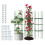 Costway 3 Pack Tomato Cage 153 cm Adjustable Tall Plant Support Trellis-Green 1