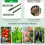 Costway 3 Pack Tomato Cage 153 cm Adjustable Tall Plant Support Trellis-Green 6