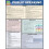 Public Speaking: QuickStudy Laminated Reference Guide (QuickStudy Academic) 1