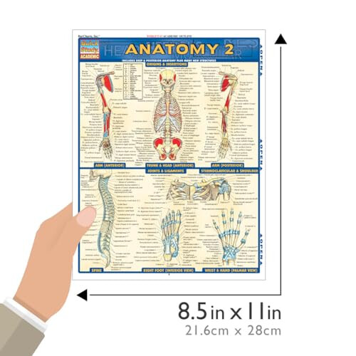 Anatomy 2 QuickStudy Laminated Reference Guide (QuickStudy Academic) 2