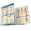 Anatomy 2 QuickStudy Laminated Reference Guide (QuickStudy Academic) 1