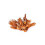 Dried Red Cotten Tree Flower / Dok Ngiew ดอกงว 10g 1