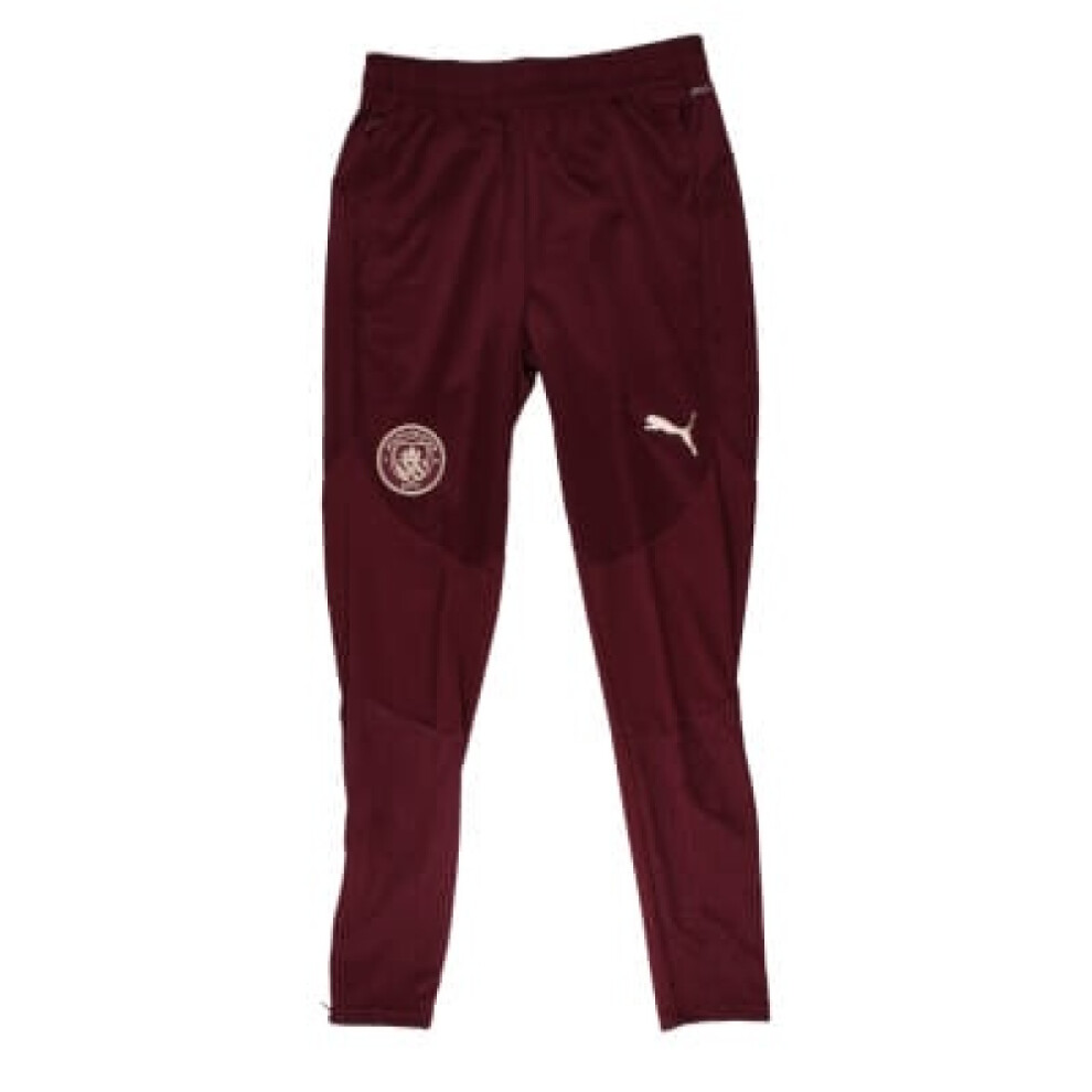 Puma (Xl) 2024-2025 Man City Training Pants ( Jasper) Dark