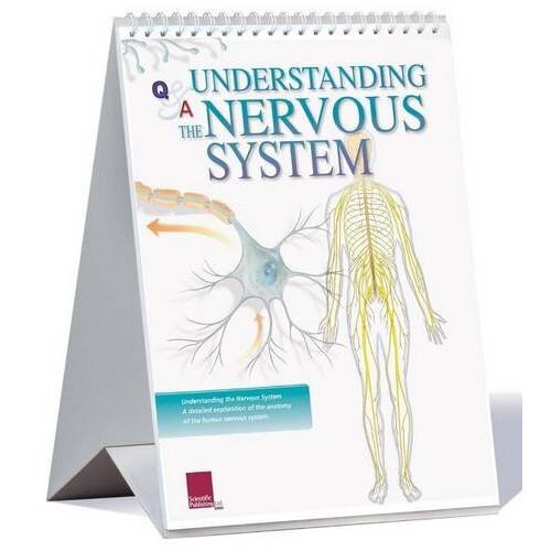 Understanding the Nervous System Flip Chart (Anatimical Flip Chart)