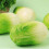 Decompression Toys Cabbage Simulation Vegetables Kneading Anxiety Gift Relief 3