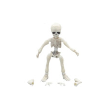 (Little Skeleton (baby)) Man Skeleton Model Mr Bones Multijointed Movable Figure Food Toy Doll Ornament