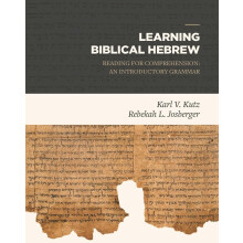 Learning Biblical Hebrew: Reading for Comprehension: An Introductory Grammar
