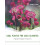 Cool Plants for Cold Climates: A Garden Designer's Perspective 1