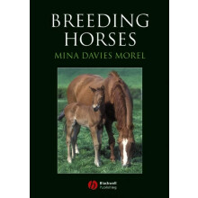 Breeding Horses