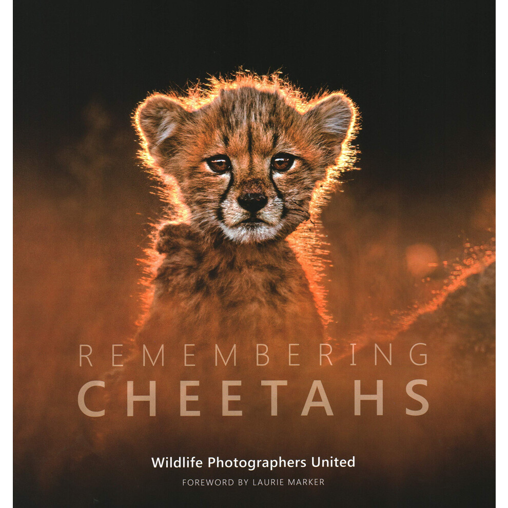 Remembering Cheetahs (Hardback Book) - Image 8