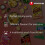 Nong Shim Pack de 20 Beignets Oignon 50 g 4