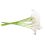 20 τεμάχια τεχνητά λευκά λουλούδια Calla Lily με μαλακά υλικά Latex για διακόσμηση 2