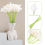 20 τεμάχια τεχνητά λευκά λουλούδια Calla Lily με μαλακά υλικά Latex για διακόσμηση 7