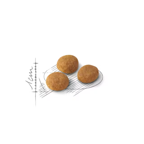 Royal Canin Royal Canin FHN EXIGENT 33 Aromatic 10 kg foder 1