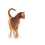 Royal Canin Royal Canin FHN EXIGENT 33 Aromatic 10 kg foder 3