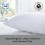 Sealy Sealy Side Sleeper Pillow - 2 Pack 6