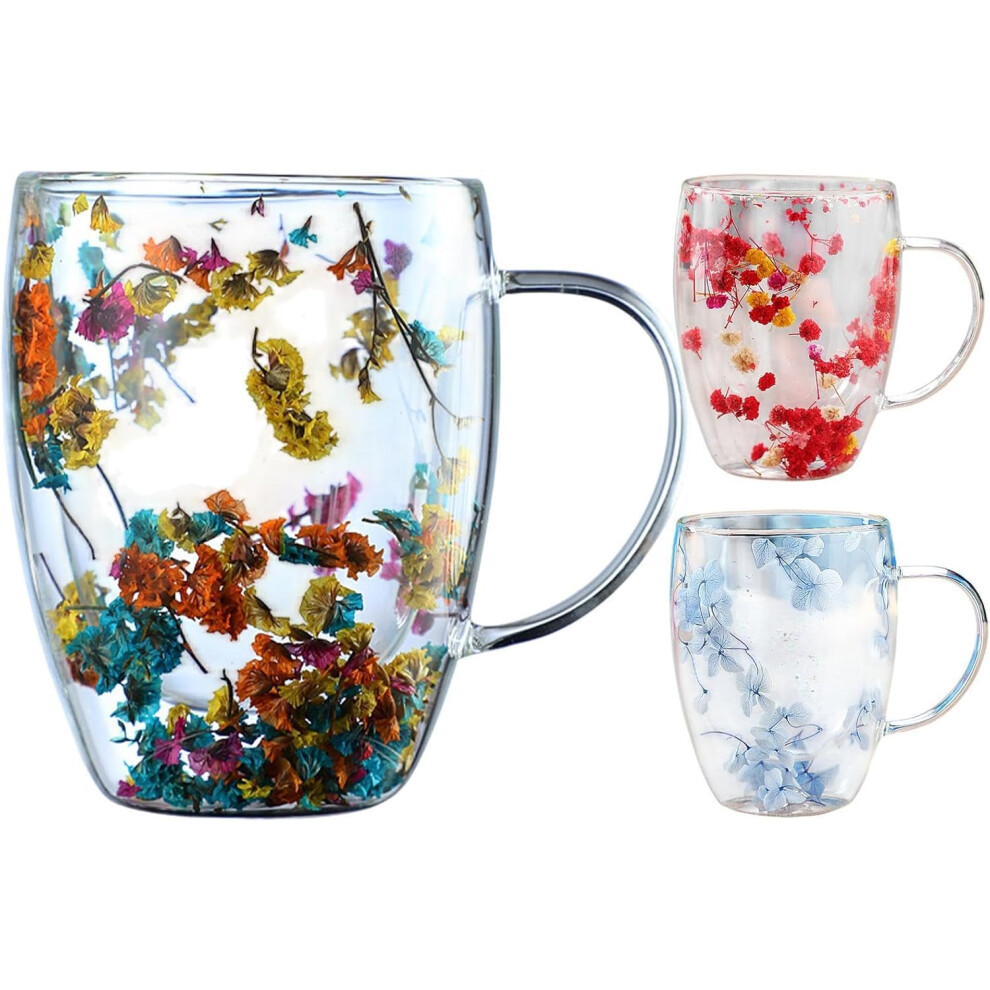 (3pc) Dried Flowers Glass Coffee Mug, 350ml Double Walled Clear Coffee Cup, Coffee Mug Built-in Selected Dried Flowers, Insulated Layer Flowers Glass