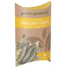 Leatherjacket Nematodes