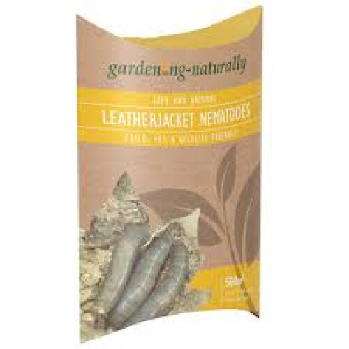 Leatherjacket Nematodes