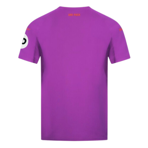 (3XL) 2024-2025 Wolves Third Shirt 2